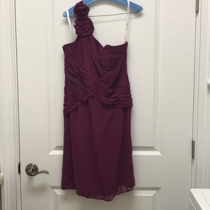 David’s Bridal Bridesmaid dress